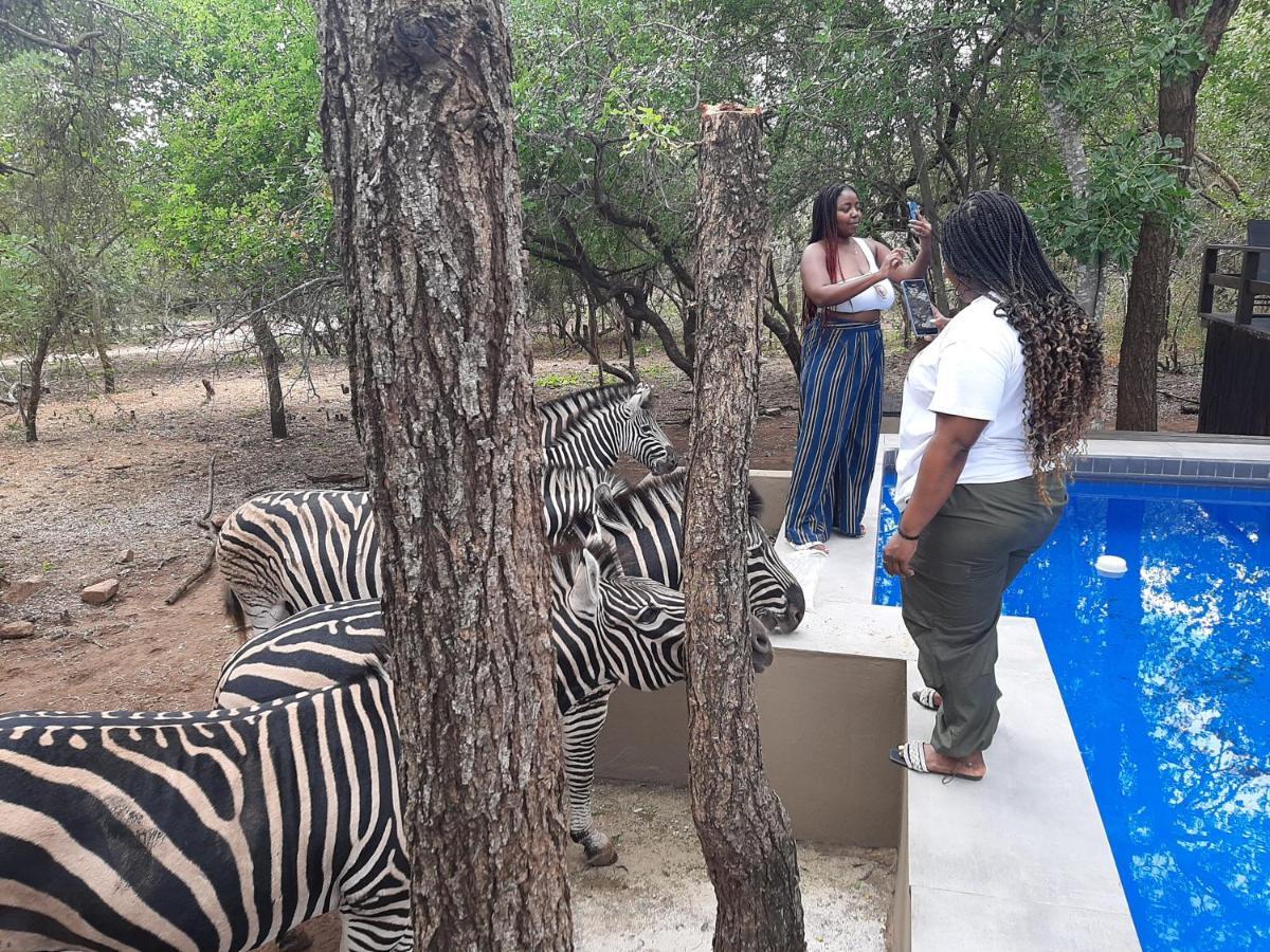 African Sky Lodge *